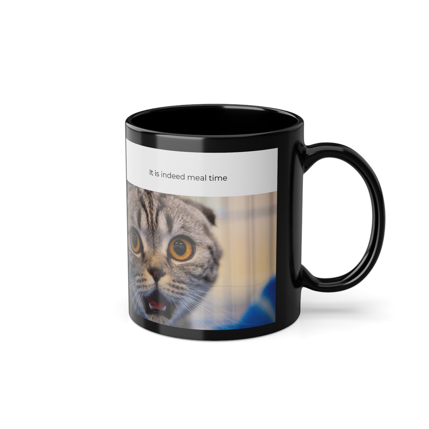 Funny cat coffee mug with humorous quote for cat lovers and pet owners