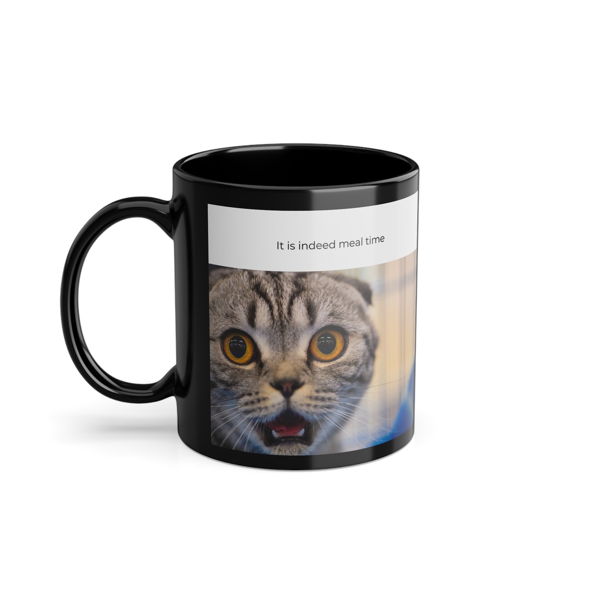 Funny cat coffee mug with humorous quote for cat lovers and pet owners