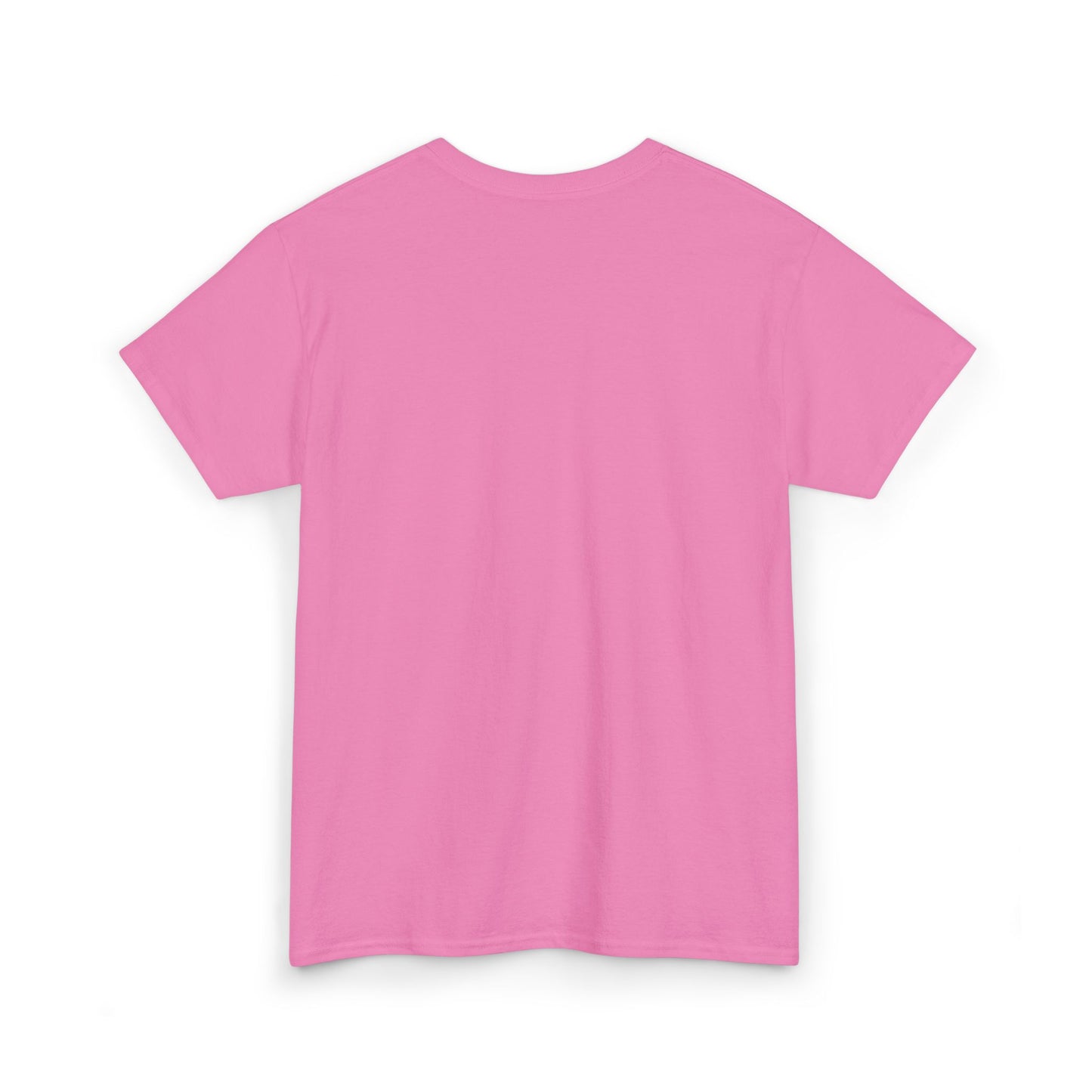 Scripture t-shirt with Philippians 4:19 KJV Bible verse