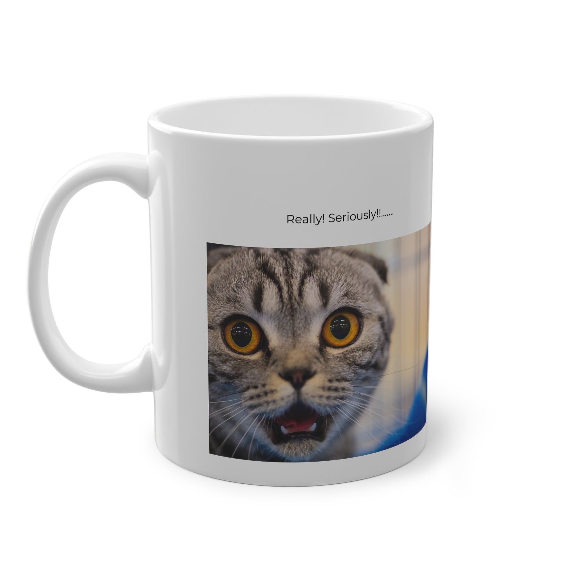 Hilarious cat mug with surprising look expression for pet owners