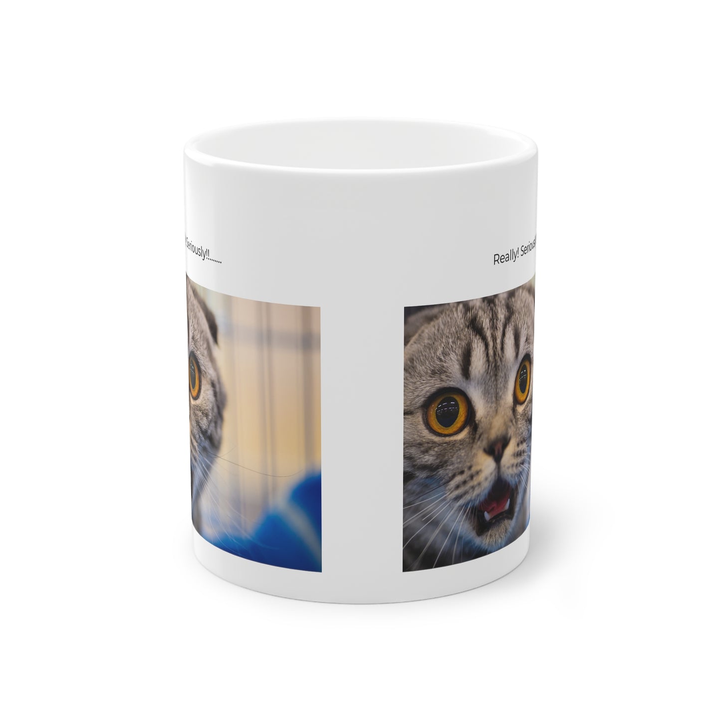 Hilarious cat mug with surprising look expression for pet owners