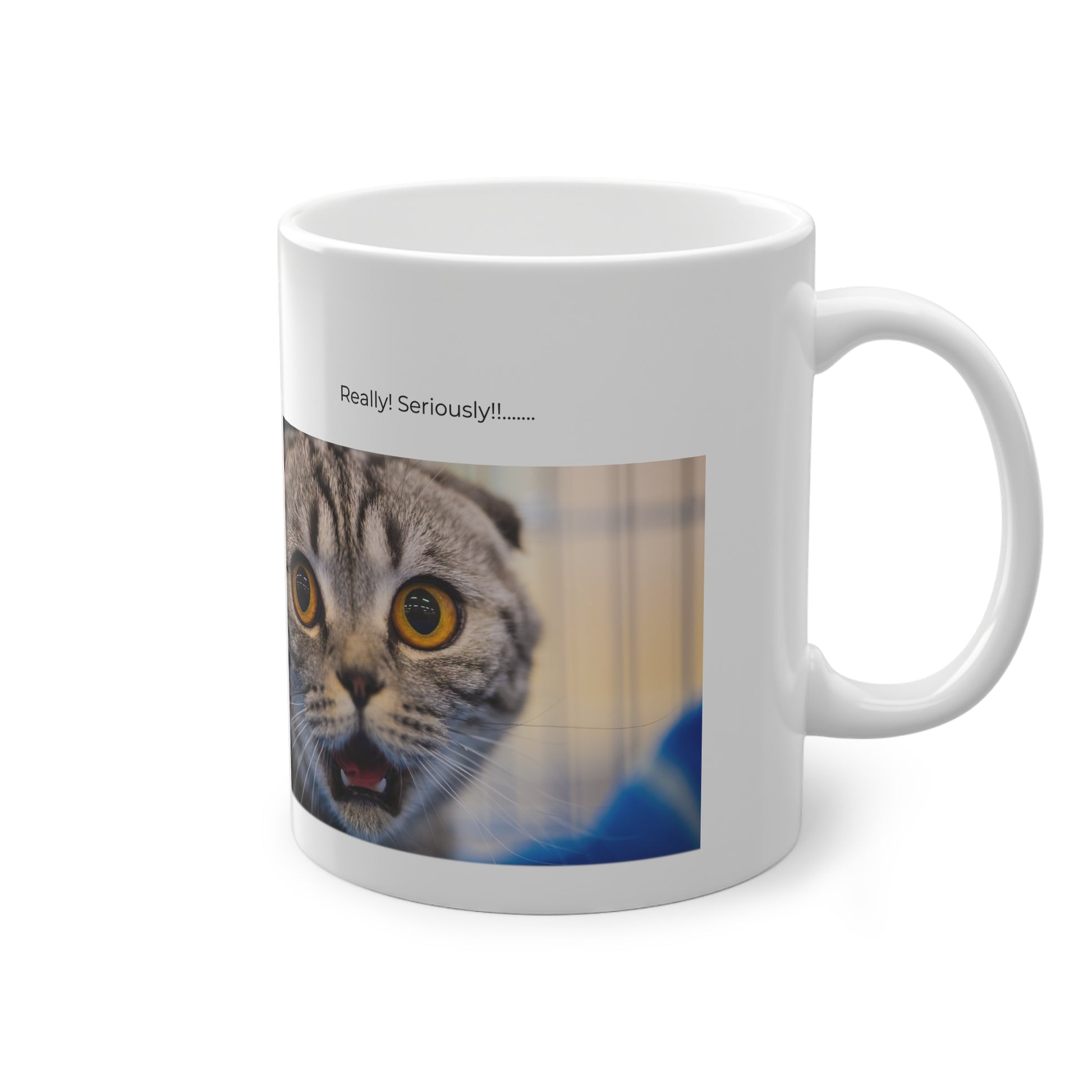 Hilarious cat mug with surprising look expression for pet owners